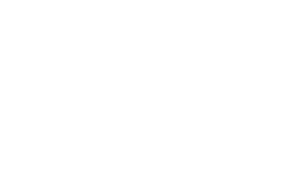 Desi Minimals logo